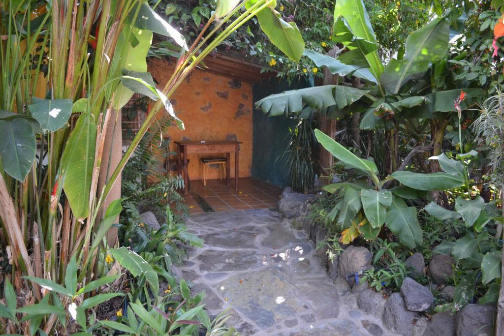 Hostel El Porvenir Los Llanos De Aridane Zimmer foto
