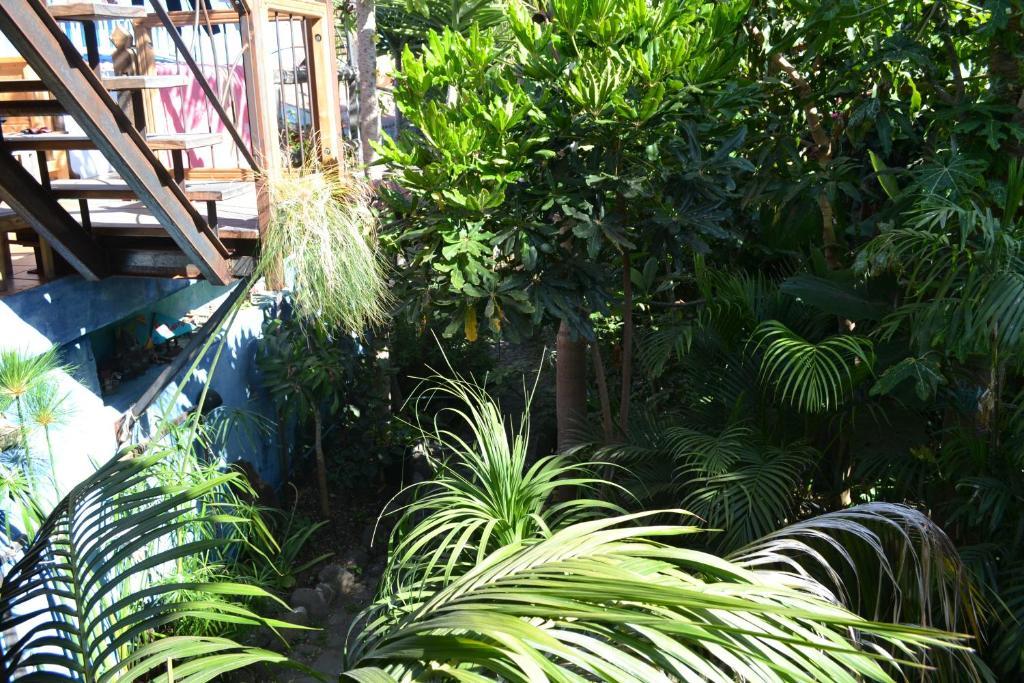 Hostel El Porvenir Los Llanos De Aridane Exterior foto